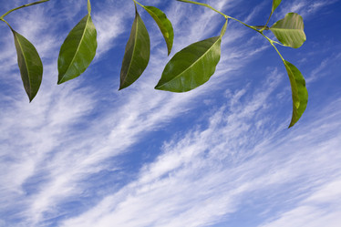 Similar image 523298