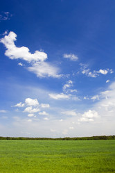 Similar image 523307