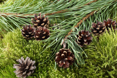 Similar image 523358