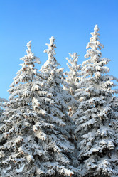 Similar image 523382