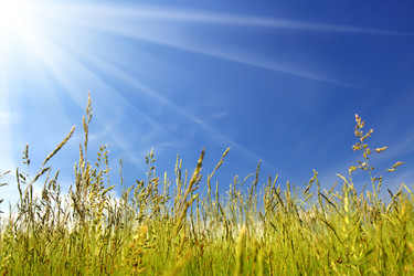 Similar image 523389