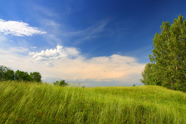 Similar image 523392