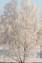 Similar image 523445