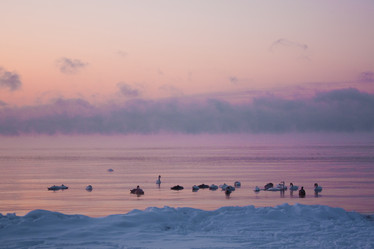 Similar image 523447