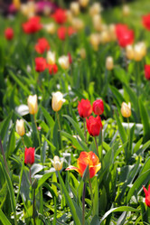 Similar image 523463