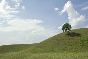 Similar image 523465