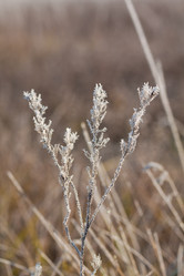 Similar image 523467