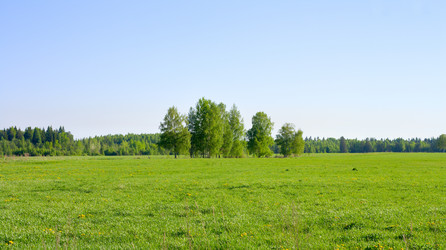 Similar image 523469