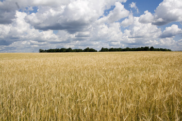 Similar image 523478