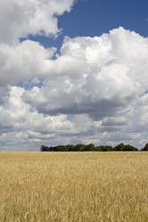 Similar image 523479