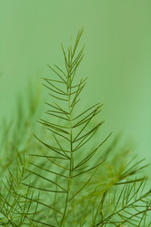 Similar image 523496