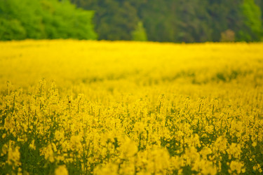 Similar image 523519