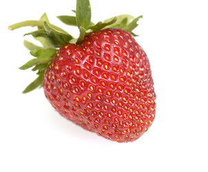 Similar image 523581