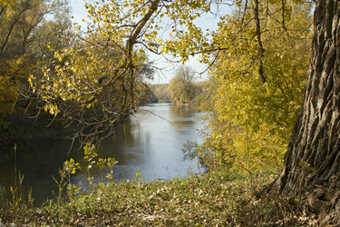 Similar image 523582