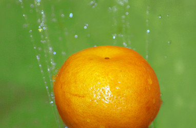 Similar image 523603