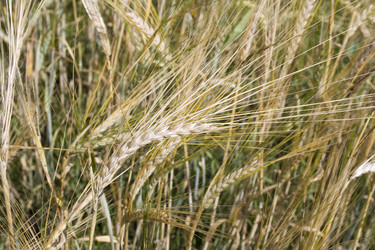 Similar image 523622