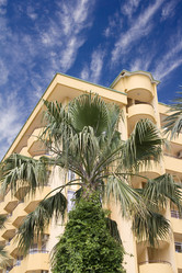 Similar image 523626