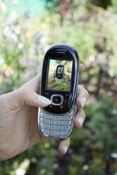 Similar image 523631