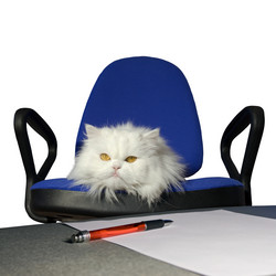 Similar image 523790