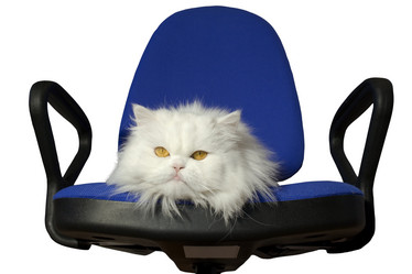 Similar image 523791