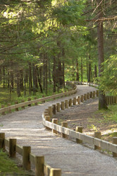 Similar image 523837