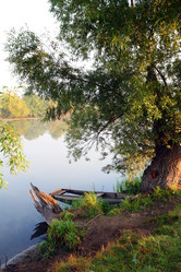 Similar image 523846