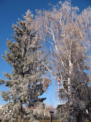 Similar image 523881