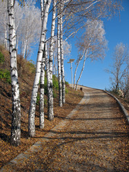 Similar image 523890