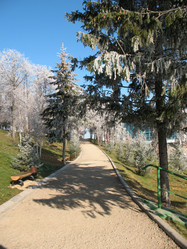 Similar image 523891