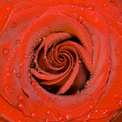 Similar image 523912