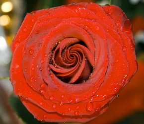 Similar image 523913