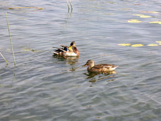 Similar image 523952