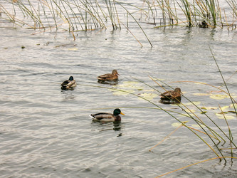 Similar image 523955