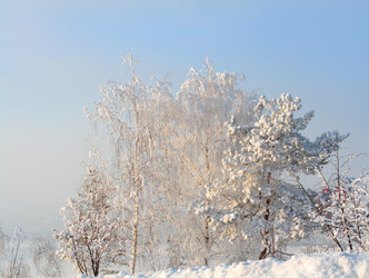 Similar image 523961