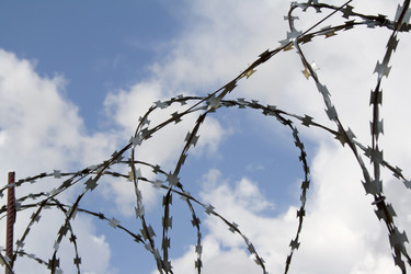 Similar image 523963