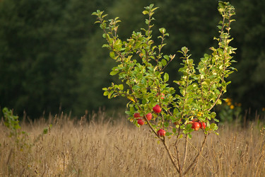 Similar image 524040