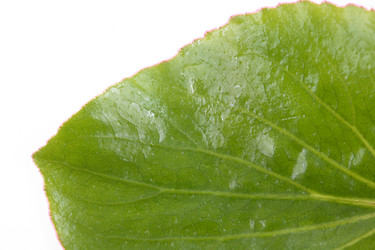 Similar image 524076