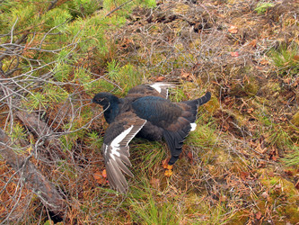 Similar image 524103