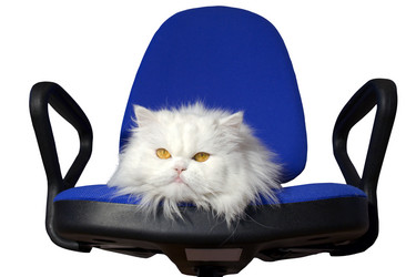 Similar image 524173