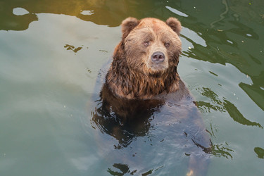 Similar image 524195