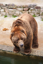 Similar image 524197