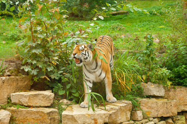 Similar image 524202