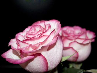 Similar image 524217