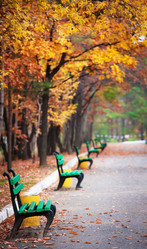 Similar image 524235