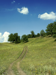 Similar image 524247