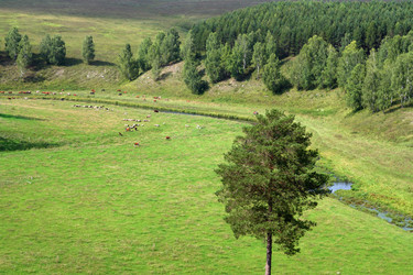 Similar image 524252