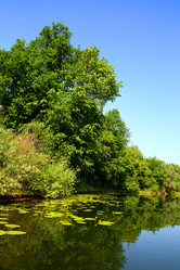 Similar image 524260