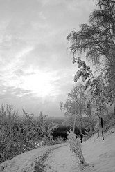 Similar image 524284