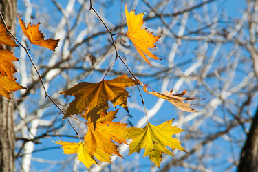 Similar image 524289