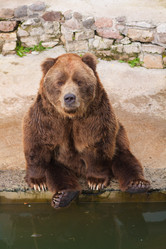 Similar image 524314